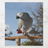 アフ素晴らしリカのオウム ワインラベル (シングルラベル)