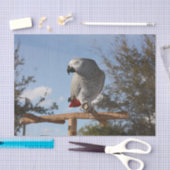 アフ素晴らしリカのオウム 薄葉紙 (クラフト)