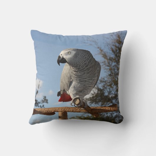 アフ素晴らしリカグレーオウム クッション (裏面)