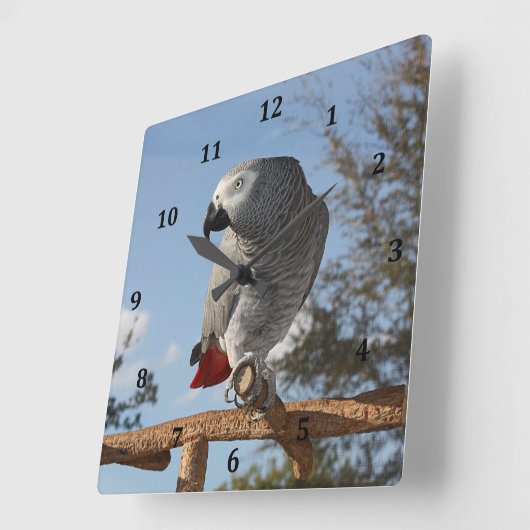 アフ素晴らしリカグレーオウム スクエア壁時計 (傾斜)