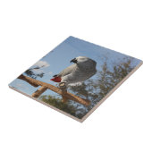 アフ素晴らしリカグレーオウム タイル (側面)