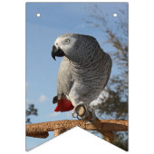 アフ素晴らしリカグレーオウム バンティングフラッグ (第2の旗)