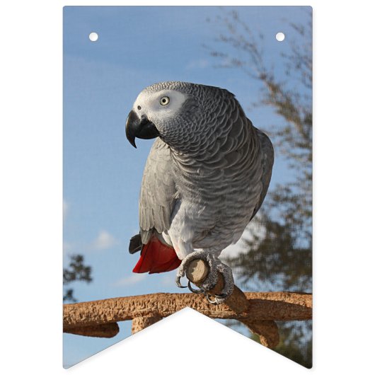 アフ素晴らしリカグレーオウム バンティングフラッグ (第3の旗)