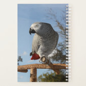 アフ素晴らしリカグレーオウム プランナー手帳 (裏面)