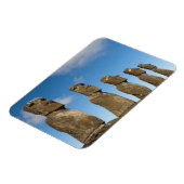 アフ·アキビ、ラパ·ヌイ、イースター島、チリ2 マグネット (左側)