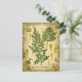 アブシンザボタニカルコラージュ ポストカード (スタンド正面)