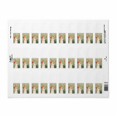 アブシンザロベテ ラベル (フルシート)