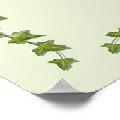 アブシーナ語 – 緑の妖精 ポスター (角)