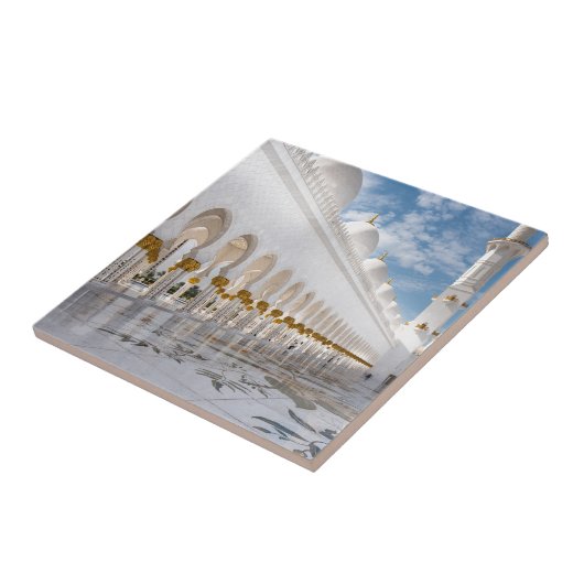 アブダビのモスク タイル (側面)