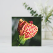 アブティロンビルトモアボールガウン (スタンド正面)