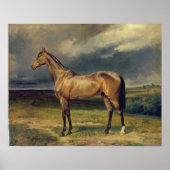 アブドゥル・メドシド'栗のアラブ馬, 1855 ポスター (正面)