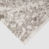 アブビル 薄葉紙 (詳細)