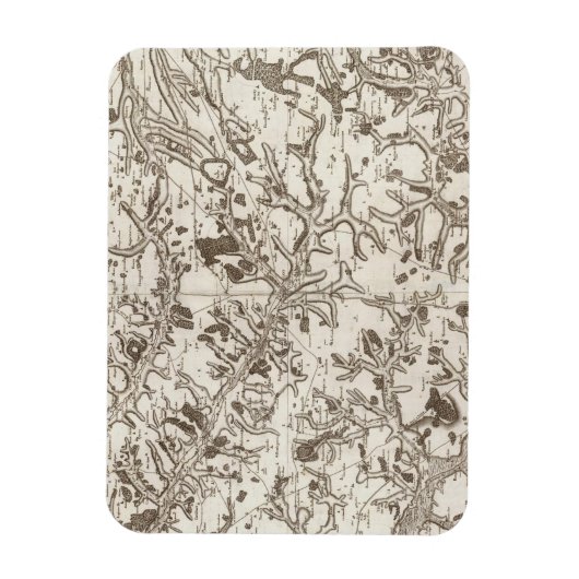 アブベビル マグネット (縦)