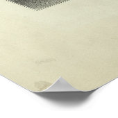 アブラナの十字架 ポスター (角)