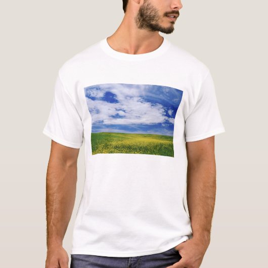 アブラナもしくはからし菜の花の畑、パラウス地域 Tシャツ (正面)