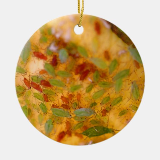 アブラムシのインフェステーション セラミックオーナメント (正面)