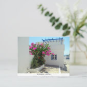 アブレモナス – キティラ ポストカード (スタンド正面)