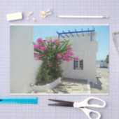 アブレモナス – キティラ 薄葉紙 (クラフト)