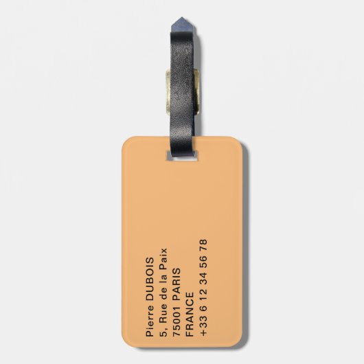 アブ・シンベルの大神殿 - ラムセス2世 - エジプト ラゲッジタグ (裏面縦)