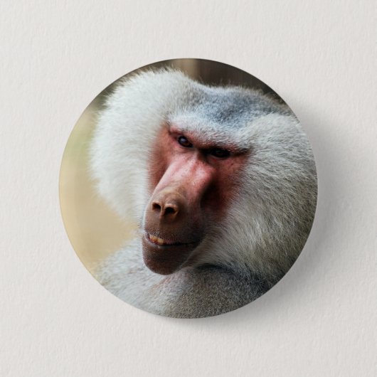 アプことわざハウディ 缶バッジ (正面)