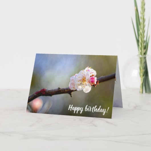 アプミニマルリコ日本のットの開花 カード (正面)