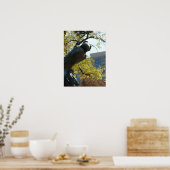 アプラザホース ポスター (キッチン)