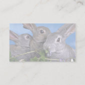 アプリコットとブルーレックス 名刺 (裏面)