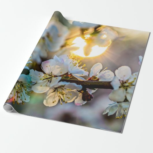 アプリコットの後日本のろの日 ラッピングペーパー (アンロールド)