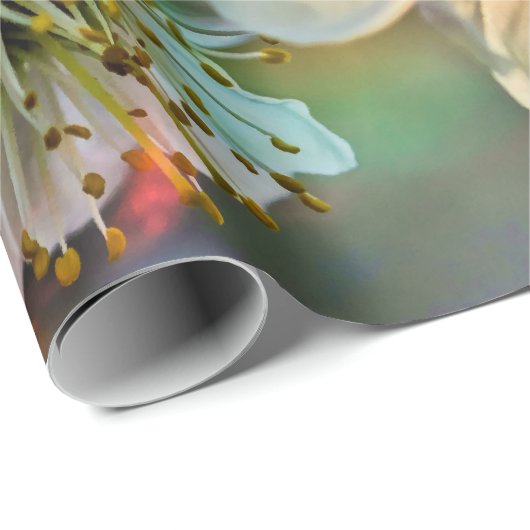 アプリコットの後日本のろの日 ラッピングペーパー (ロールコーナー)