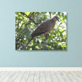 アプリコットの木の写真に東洋の亀の鳩 キャンバスプリント (インサイチュ (ウッドフロア))