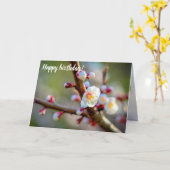 アプリコットの花のフローラ日本の組成物 カード (黄色い花)