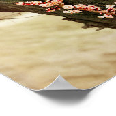 アプリコットの花 – 1911ヴィンテージカラー写真 ポスター (角)