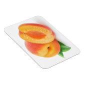 アプリコットを切る マグネット (右側)