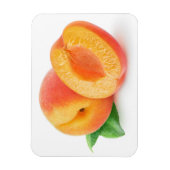 アプリコットを切る マグネット (縦)
