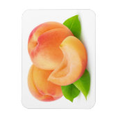アプリコットを切る マグネット (縦)