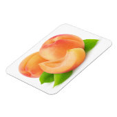 アプリコットを切る マグネット (左側)