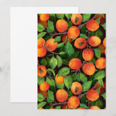 アプリコットガーデン1 (正面/裏面)