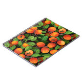 アプリコットガーデン1 ノートブック (左側)