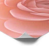 アプリコットクラッシュ多肉色 ポスター (角)