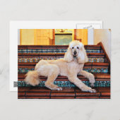 アプリコットスタンダードプードルボチェリ ポストカード (正面/裏面)