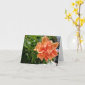 アプリコットハイビスカス熱帯空白の花ノートカード カード (黄色い花)