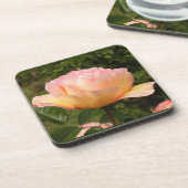 アプリコットバラ コースター (左側)