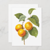 アプリコットピーチバイピエールレドテ招待状 (正面/裏面)