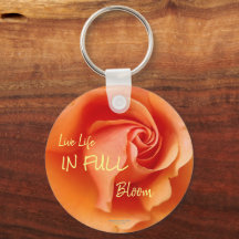 アプリコットピーチバラフラワークローズアップ写真