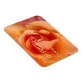 アプリコットピーチバラフラワークローズアップ写真 マグネット (右側)