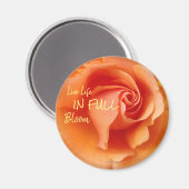 アプリコットピーチバラフラワークローズアップ写真 マグネット (正面/裏面)