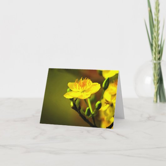 アプリコットブロッサムすべての行事ノテカード サンキューカード (正面)