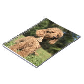 アプリコットプードルカスタマイズ ノートブック (左側)