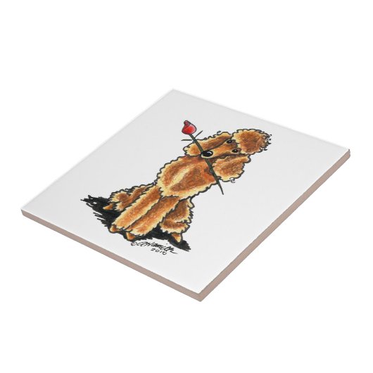 アプリコットプードルスウィートアールヴァレンティネス タイル (側面)