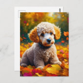 アプリコットプードルパピーin紅葉 ポストカード (正面/裏面)